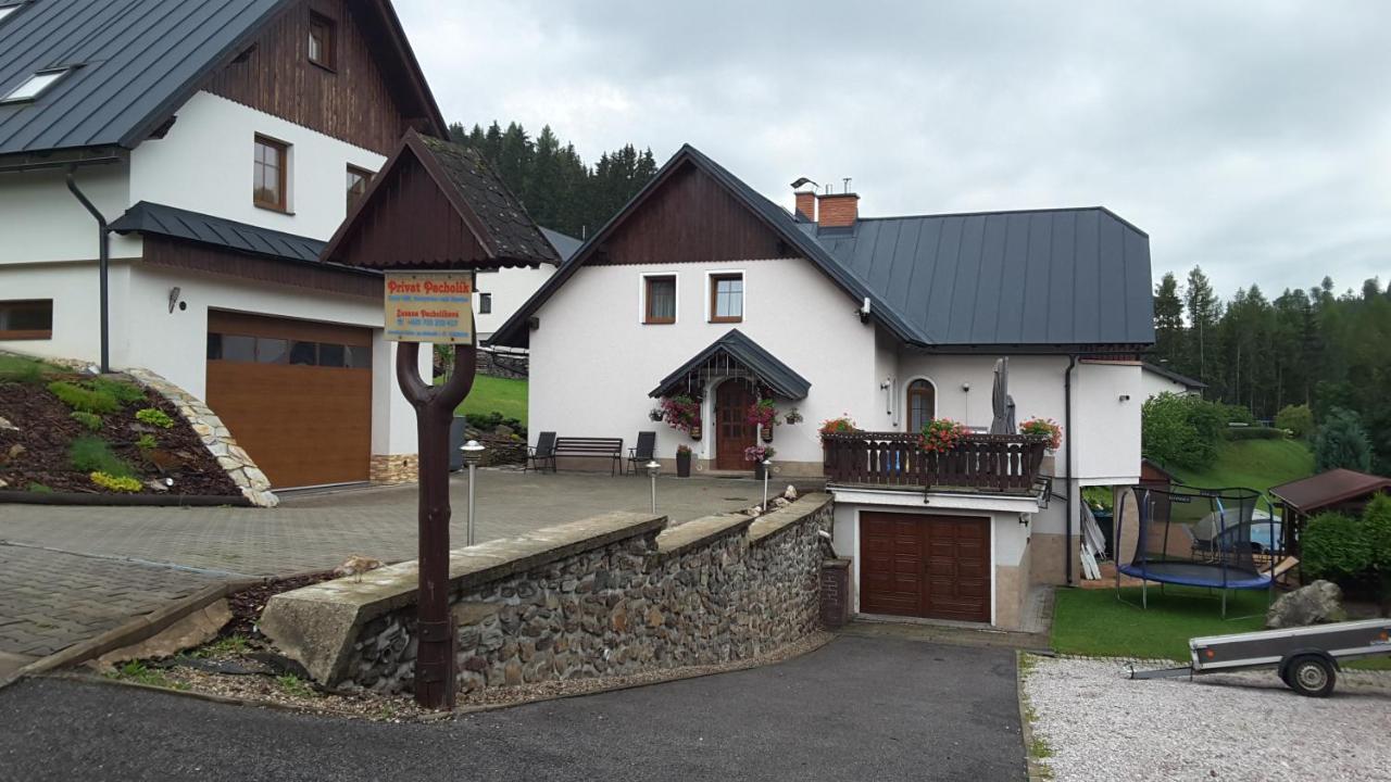 Apartmany - Privat Pacholik Рокицани Экстерьер фото